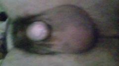 20170421_082709.jpg