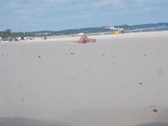 DSCN0930.JPG