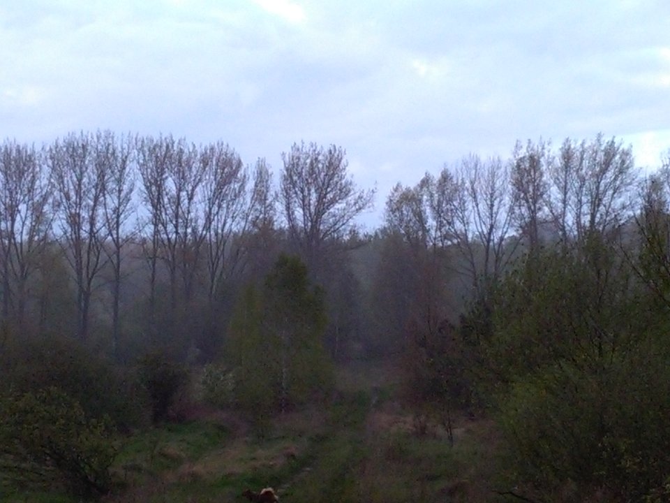 IMG_20170423_183829.jpg - Wolfdi