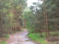 IMG_20170423_190543.jpg