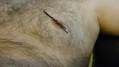 DSC_1681.JPG