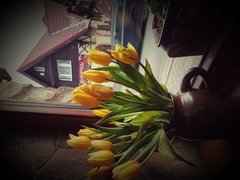 20170419_184157.jpg