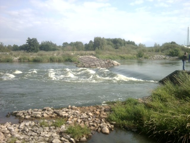 gabarznik