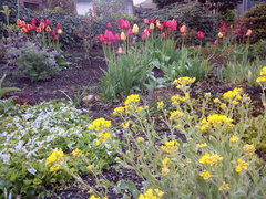 IMG_20170428_191842.jpg