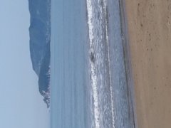 20170428_100605.jpg