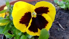 20170402_172901.jpg