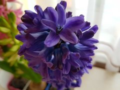 20170313_135509.jpg