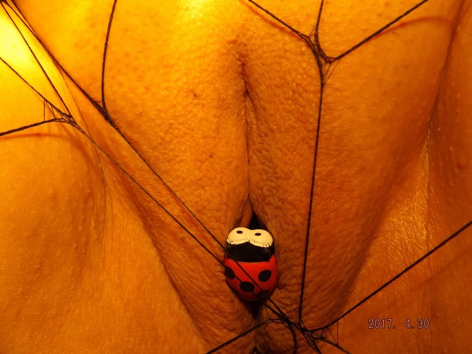 eDSCF1328.jpg - MP2009