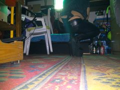 IMG_20170503_113407.jpg