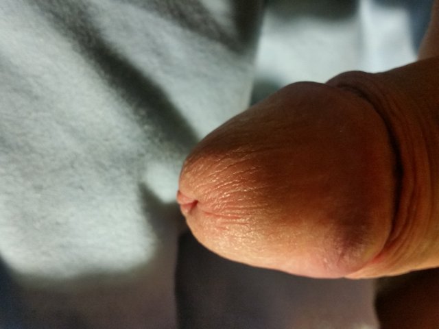 kris33