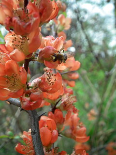 DSCF1019.JPG