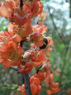 DSCF1018.JPG