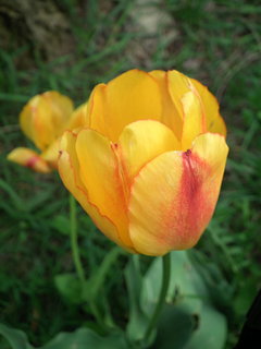DSCF1009.JPG