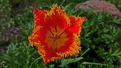 20170506_165308.jpg