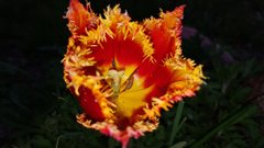 20170506_185016.jpg