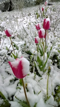 WP_20170509_018.jpg
