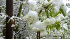 WP_20170509_035.jpg