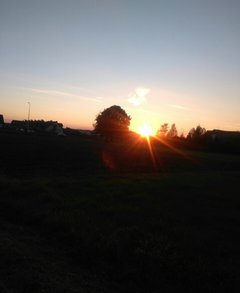 Witam milutkiego pogodnego dnia życzę 🌹🔆🔆🔆