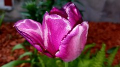 20170510_190143.jpg