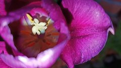20170510_190712.jpg