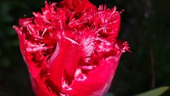 20170510_190929.jpg