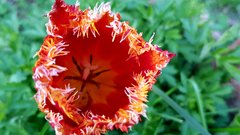 20170510_191722.jpg