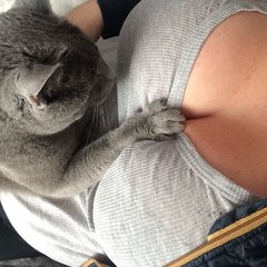 Kicia wie co dobre 😂