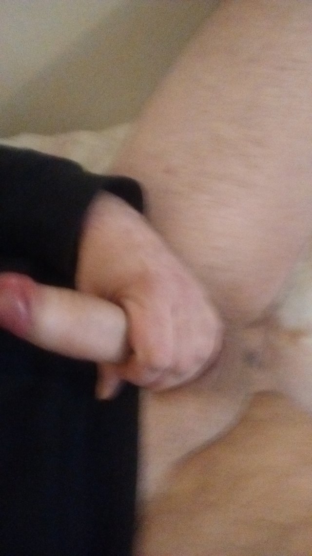 lubiemyszki36
