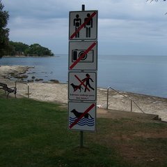 100_1559.JPG