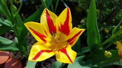 20170515_143506.jpg