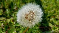 20170516_130416.jpg
