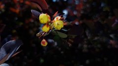 20170516_131152.jpg