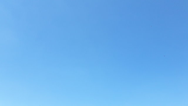 AdamBydg123