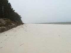 IMG_20170520_113941.jpg