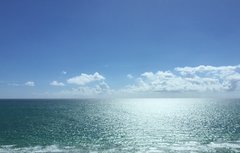 IMG_1399.JPG