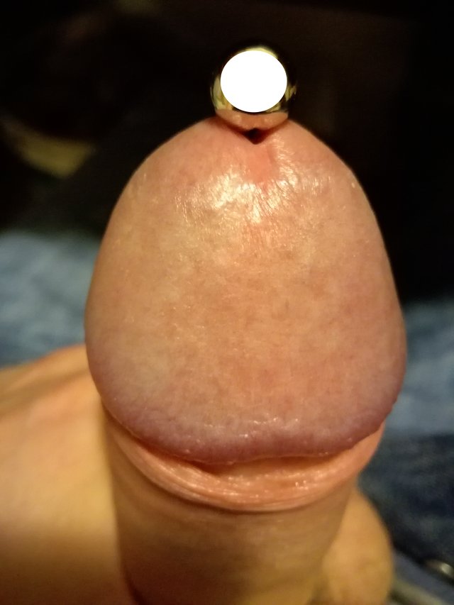 twardy_kutas_86
