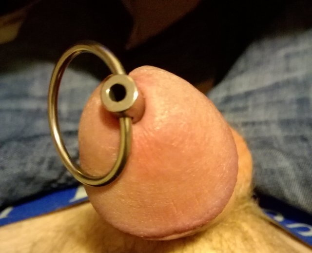 twardy_kutas_86