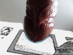 DSCF1763.JPG