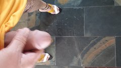 2017-05-24 20.39.47.jpg