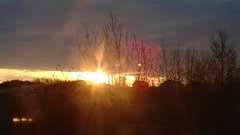 WP_20170420_029.jpg