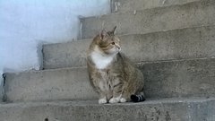 WP_20170422_009.jpg