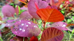20170525_192539.jpg