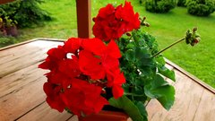 20170525_192358.jpg