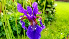 20170522_153607.jpg
