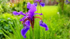 20170522_153550.jpg