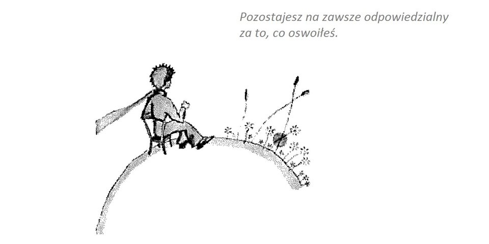 Mały-Książę_CP.jpg - MaciejKos