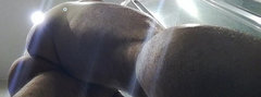 musculine22.jpg