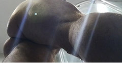 musculine11.jpg