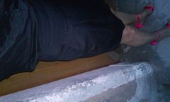 20170529_040124.jpg