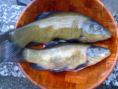 20100713038.jpg